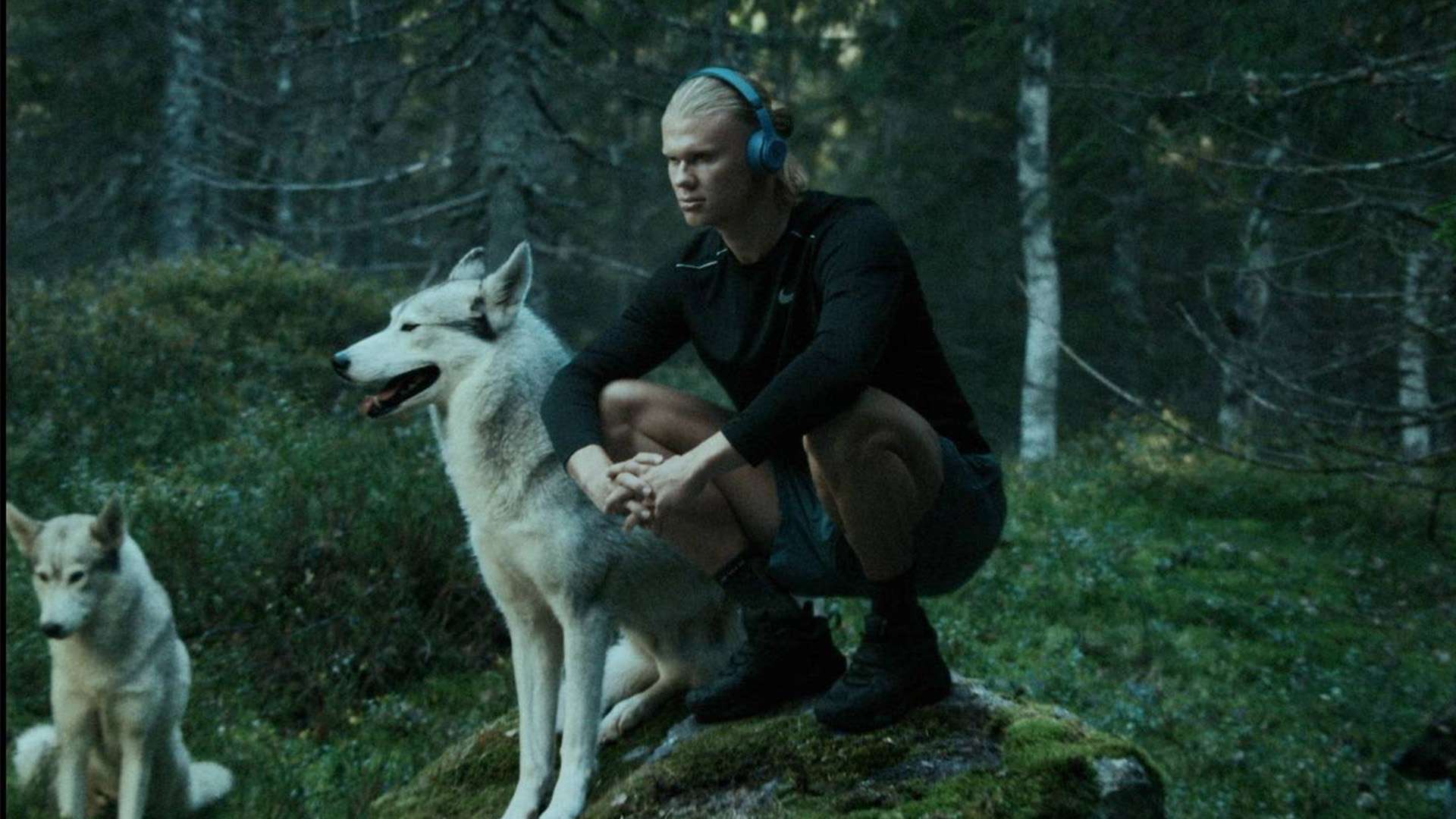 现出骄人的 现出骄人的