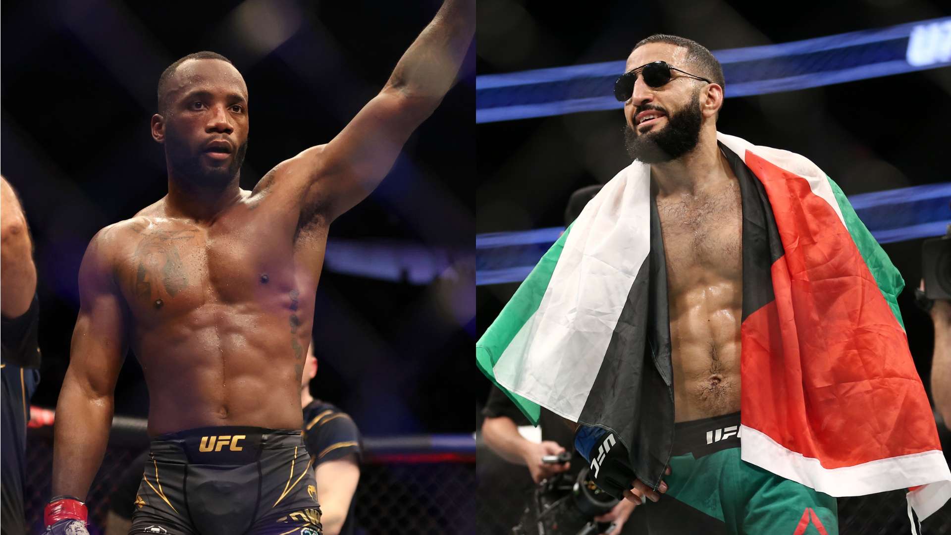 展的缩影 展的缩影